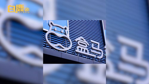 西安盒馬經(jīng)營范圍拓展 新增攝像與洗染服務(wù)，構(gòu)建一站式生活服務(wù)生態(tài)